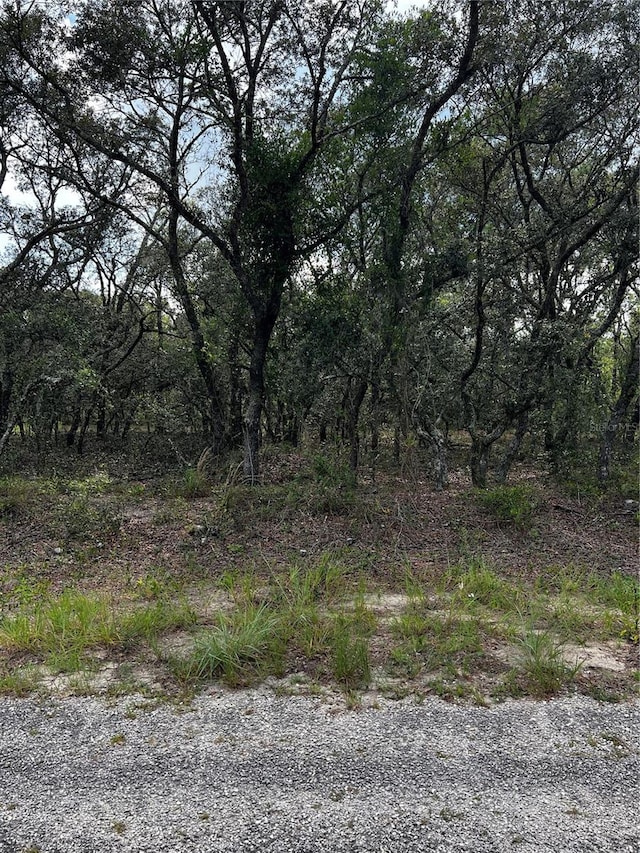 00 SE 132nd Ct, Dunnellon FL, 34431 land for sale