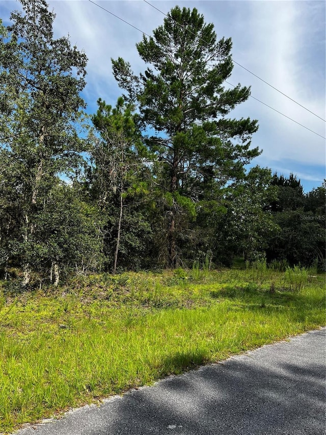 00 SE 134th Ter, Dunnellon FL, 34431 land for sale