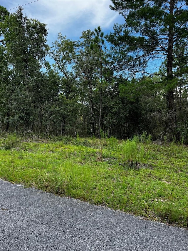 Listing photo 3 for 00 SE 134th Ter, Dunnellon FL 34431