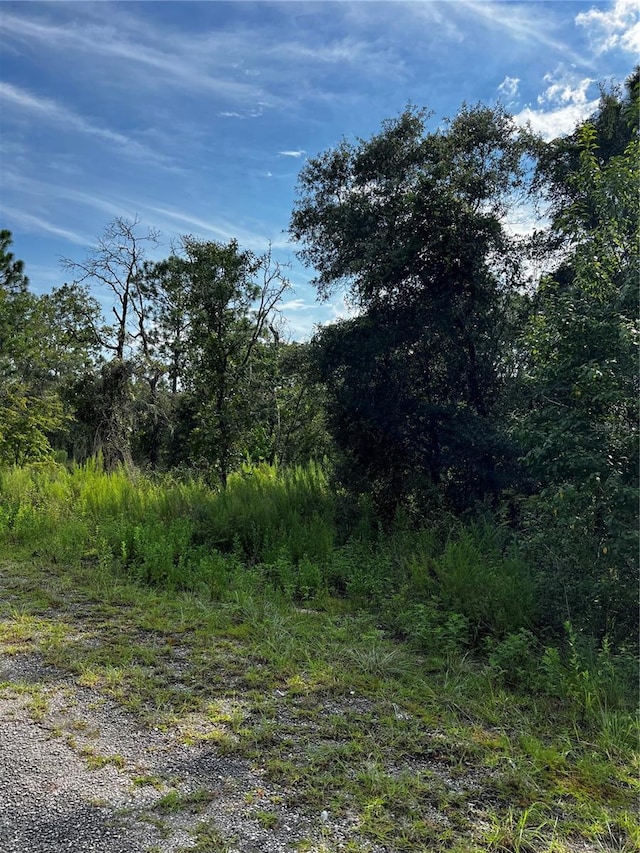 00 SE 135th Ct, Dunnellon FL, 34431 land for sale