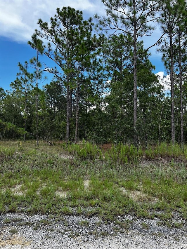 00 SE 131st Ter, Dunnellon FL, 34431 land for sale