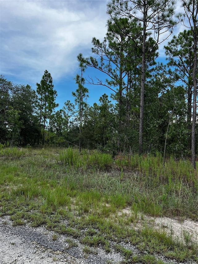 Listing photo 2 for 00 SE 131st Ter, Dunnellon FL 34431