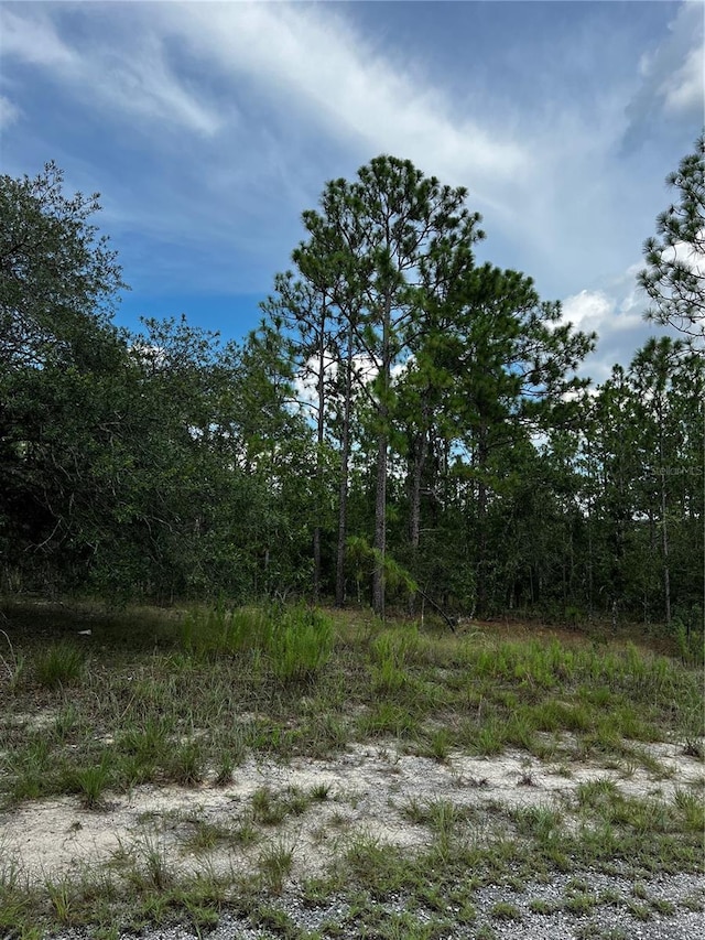 Listing photo 3 for 00 SE 131st Ter, Dunnellon FL 34431