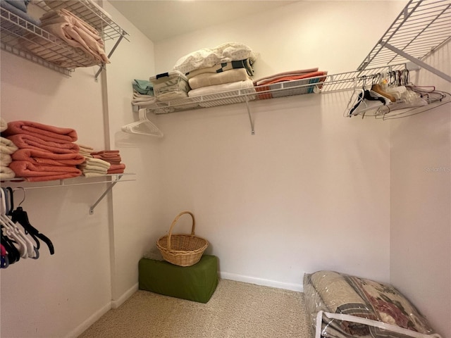 spacious closet featuring carpet floors