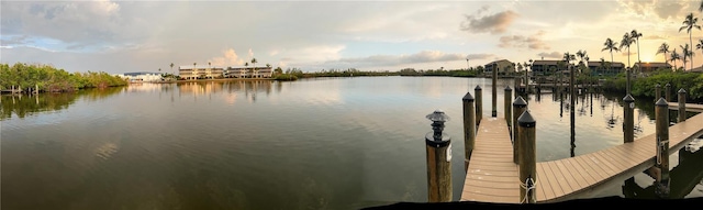 dock area with a water view