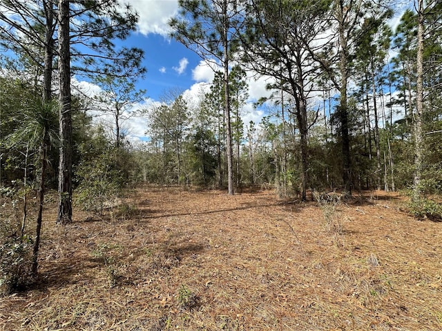 21491 SE 73rd Pl, Morriston FL, 32668 land for sale