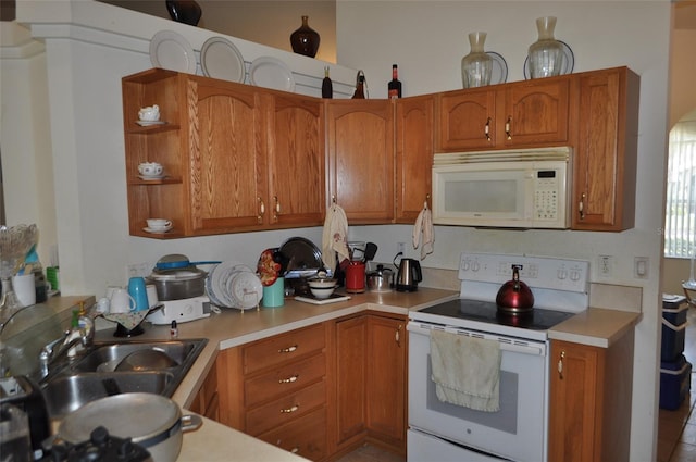 15580 NE 16th Ln, Williston, FL 32696 - photo 12