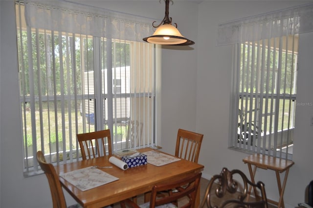 15580 NE 16th Ln, Williston, FL 32696 - photo 15