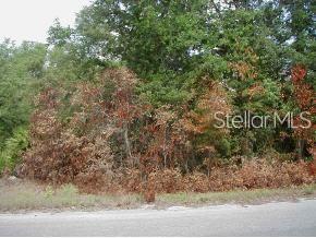 0 Malauka Loop, Ocklawaha FL, 32179 land for sale