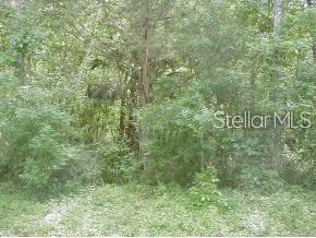 0 SW 17th Pl, Ocala, FL 34481