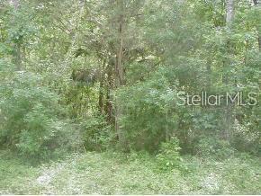 0 SW 17th Pl, Ocala FL, 34481 land for sale