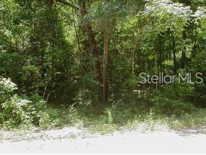 0 SW 14 St Rd, Ocala FL, 34481 land for sale