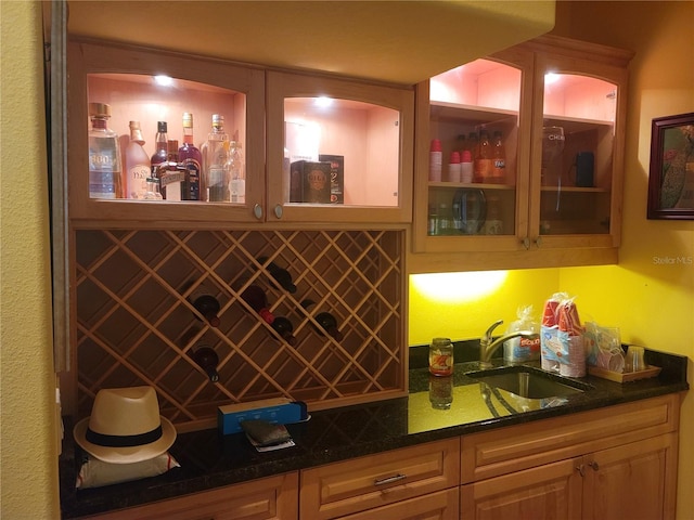 wine cellar featuring sink