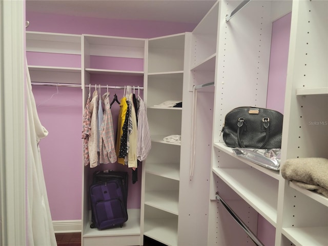 view of walk in closet