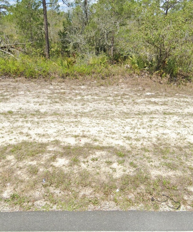 10449 S Orange Blossom Blvd, Sebring, FL 33875 - photo 3