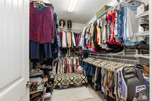 walk in closet with carpet flooring