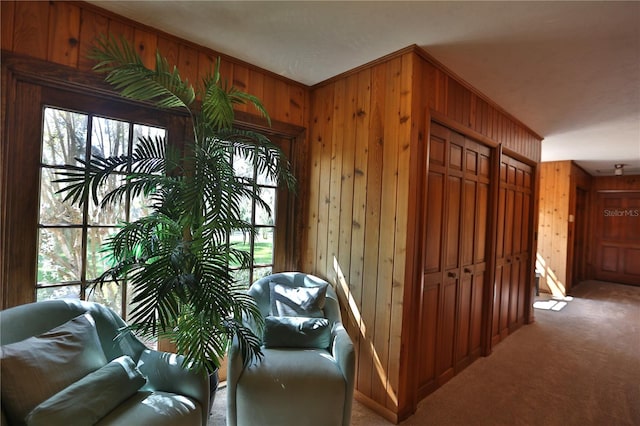 interior space featuring carpet flooring and wooden walls