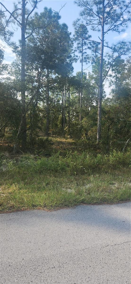 Listing photo 3 for 00 SW Edgewater Blvd, Dunnellon FL 34431