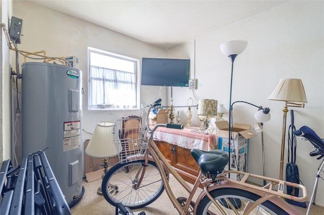 miscellaneous room featuring electric water heater