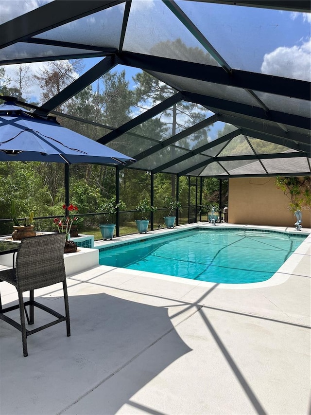 10411 SW 52nd Ct, Ocala, FL 34476 - pool with a patio and a lanai