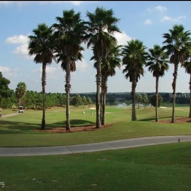 view of community with a yard