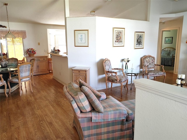 living room with dark hardwood / wood-style floors