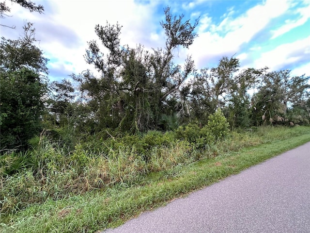 29431 Nottingham Rd, Punta Gorda FL, 33982 land for sale