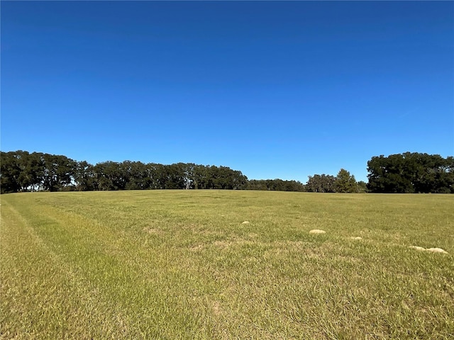 Listing photo 3 for TBD SE 15th Ave Lot 1, Ocala FL 34480