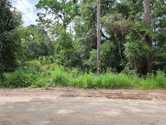 0 SE 191st Ter, Ocklawaha FL, 32179 land for sale