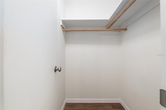 walk in closet with hardwood / wood-style flooring