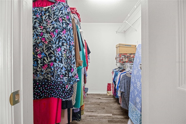 walk in closet featuring dark hardwood / wood-style flooring