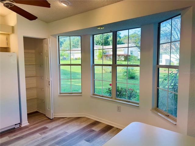 interior space with light hardwood / wood-style floors, multiple windows, a textured ceiling, and white refrigerator