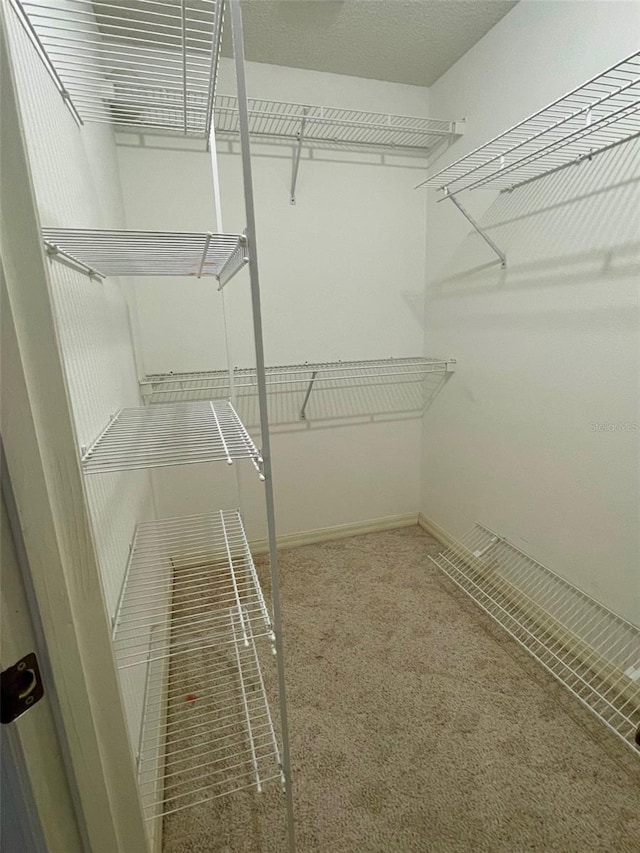 spacious closet with carpet flooring