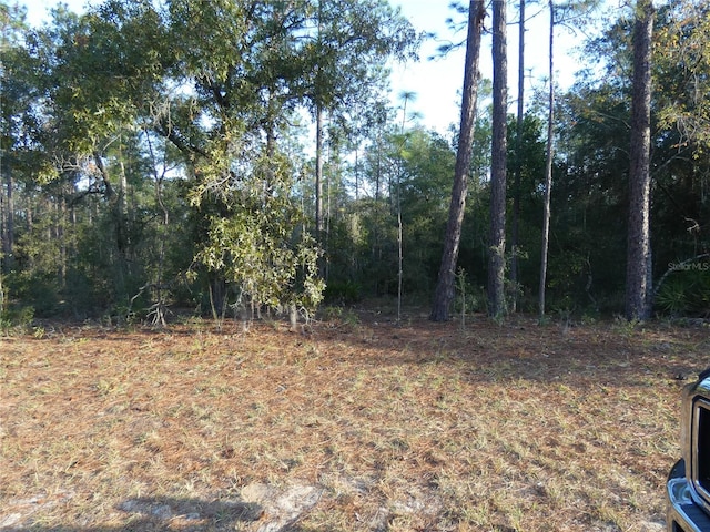 Listing photo 3 for LOT31 SW 93 Lane Rd Dunnellon, Unit Dunnellon, Dunnellon FL 34431