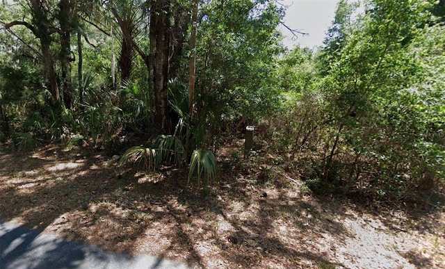 9652 W Green Ln, Crystal River FL, 34429 land for sale