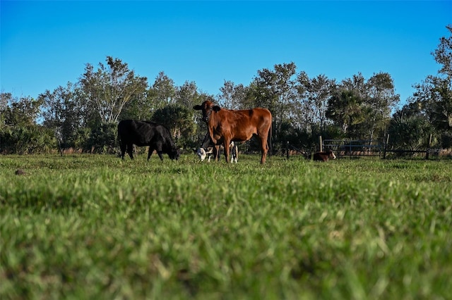 Listing photo 2 for 167 Golden Oaks Rd, Zolfo Springs FL 33890