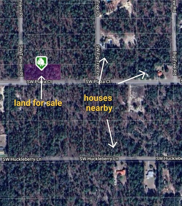 0 SW Tamiami Pl, Dunnellon FL, 34431 land for sale