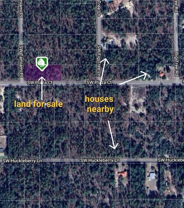 0 SW Tamiami Pl, Dunnellon, FL 34431 - photo 2