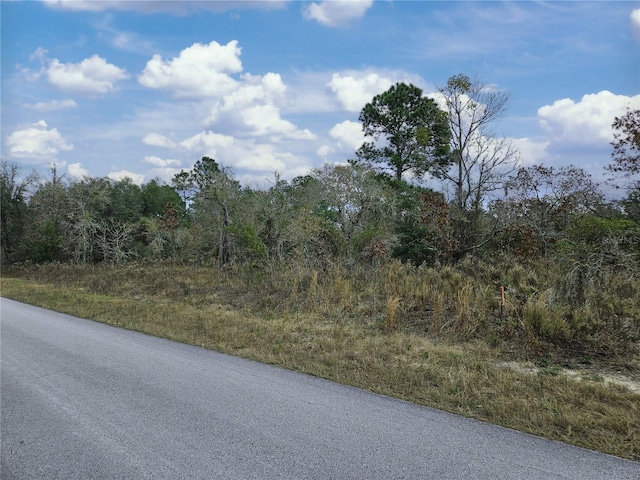 Listing photo 3 for 1281 SW Viburnum Rd, Dunnellon FL 34431