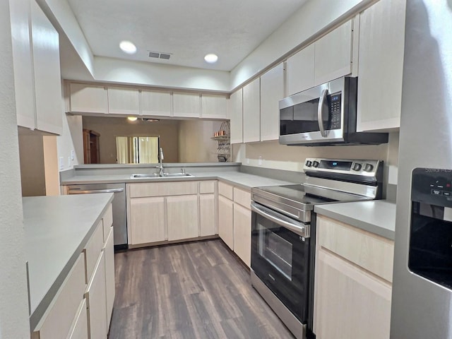 kitchen with dark wood-type flooring, appliances with stainless steel finishes, and sink