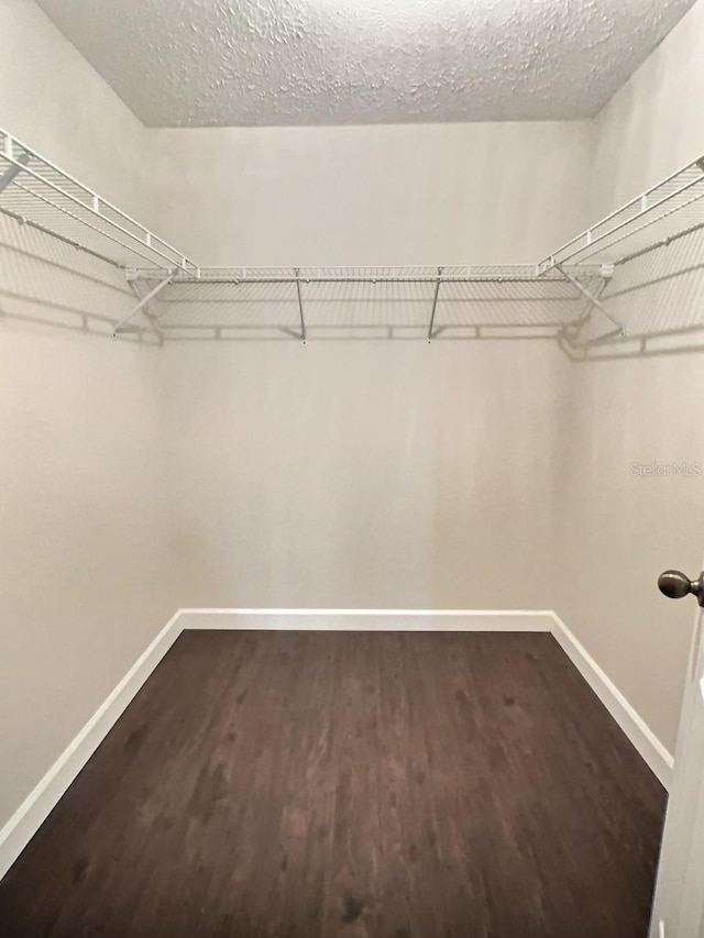 walk in closet featuring dark hardwood / wood-style floors