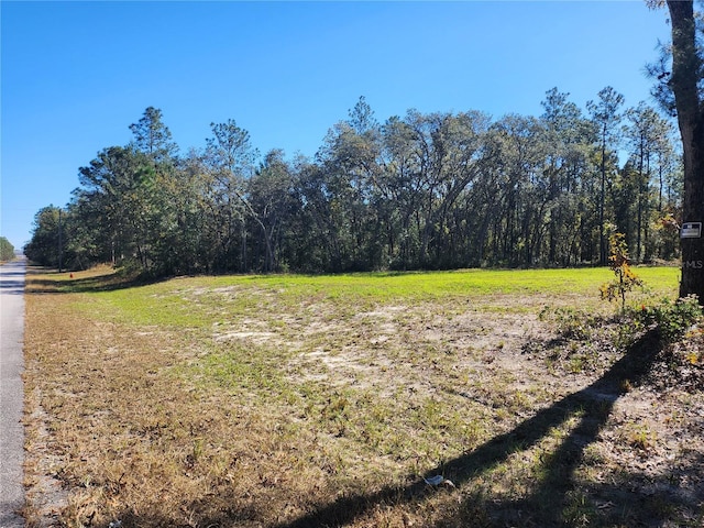 TBD SW 137th St, Ocala FL, 34473 land for sale