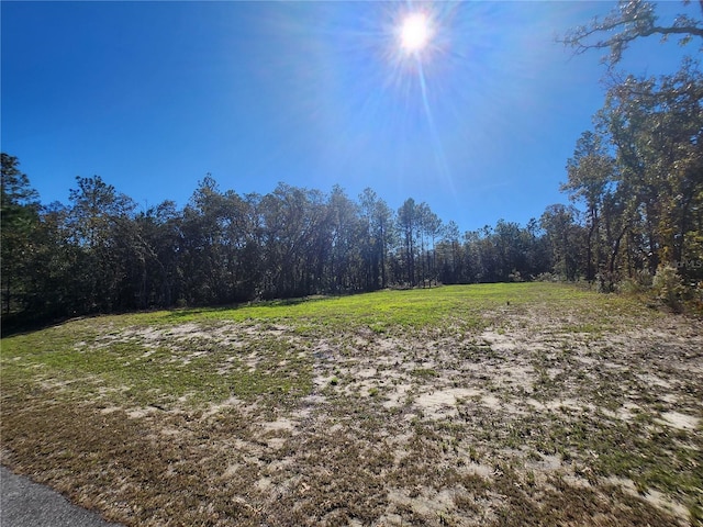 Listing photo 3 for TBD SW 137th St, Ocala FL 34473