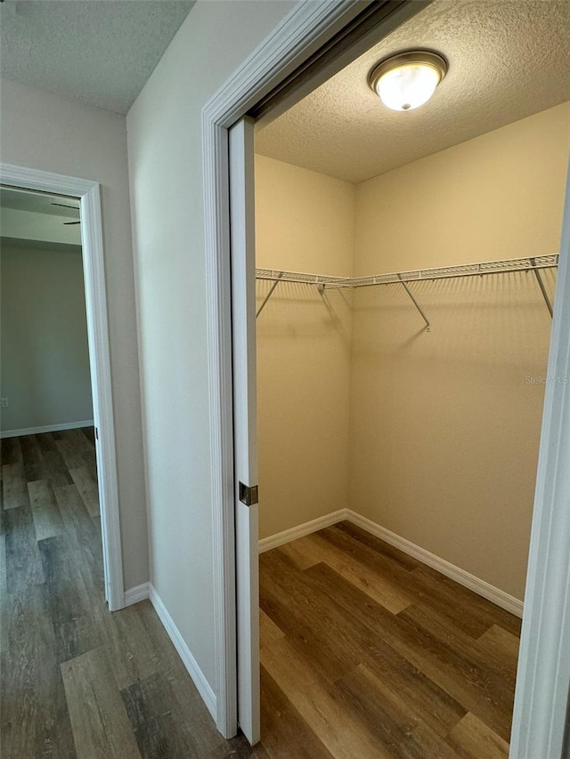 spacious closet featuring dark hardwood / wood-style flooring