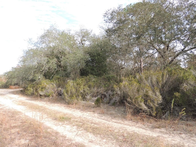 6691 NE 112th Ave, Williston FL, 32696 land for sale