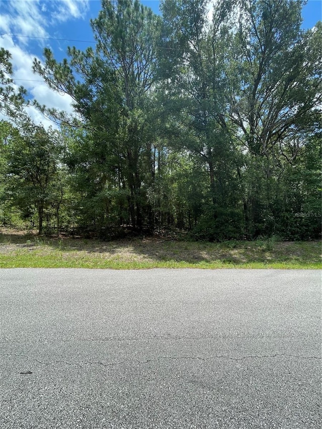 TBD SW 59th Ln, Dunnellon FL, 34431 land for sale