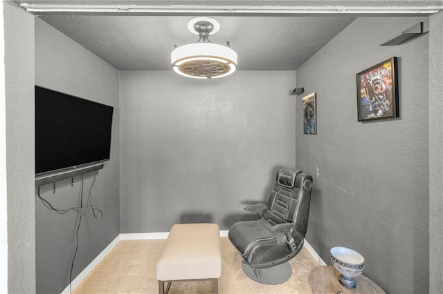 sitting room with carpet floors