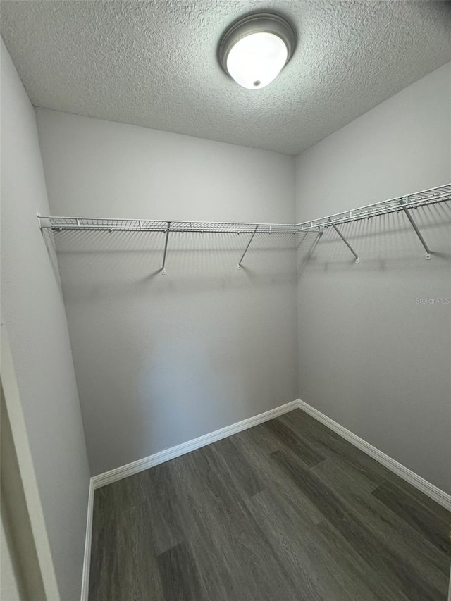 spacious closet featuring dark wood-type flooring