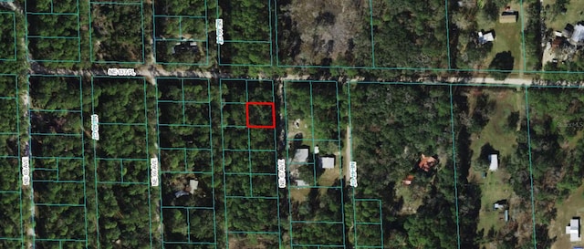 00 NE 67th Ave, Citra, FL 32113