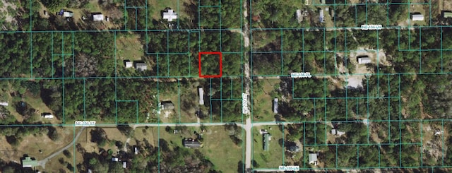 00 NE 156th Pl, Fort Mc Coy, FL 32134 - photo 1